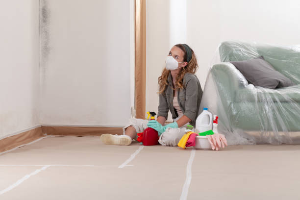 Reliable Mold Removal contractor in Greenbush, VA by WQB Mold Removal